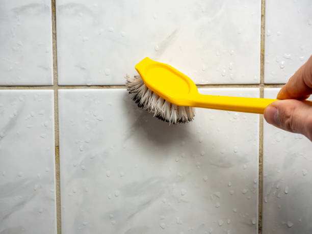 Home Mold Removal in Concord, NH