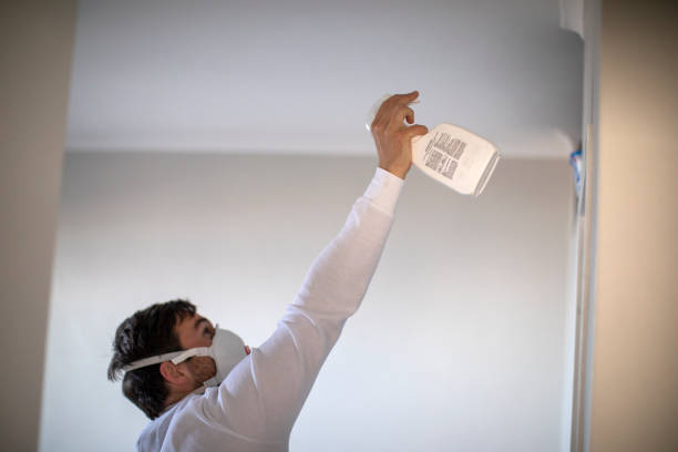 Best Residential Mold Removal  in Concord, NH