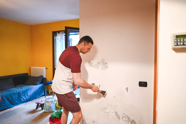 Best Commercial Mold Removal  in Concord, NH